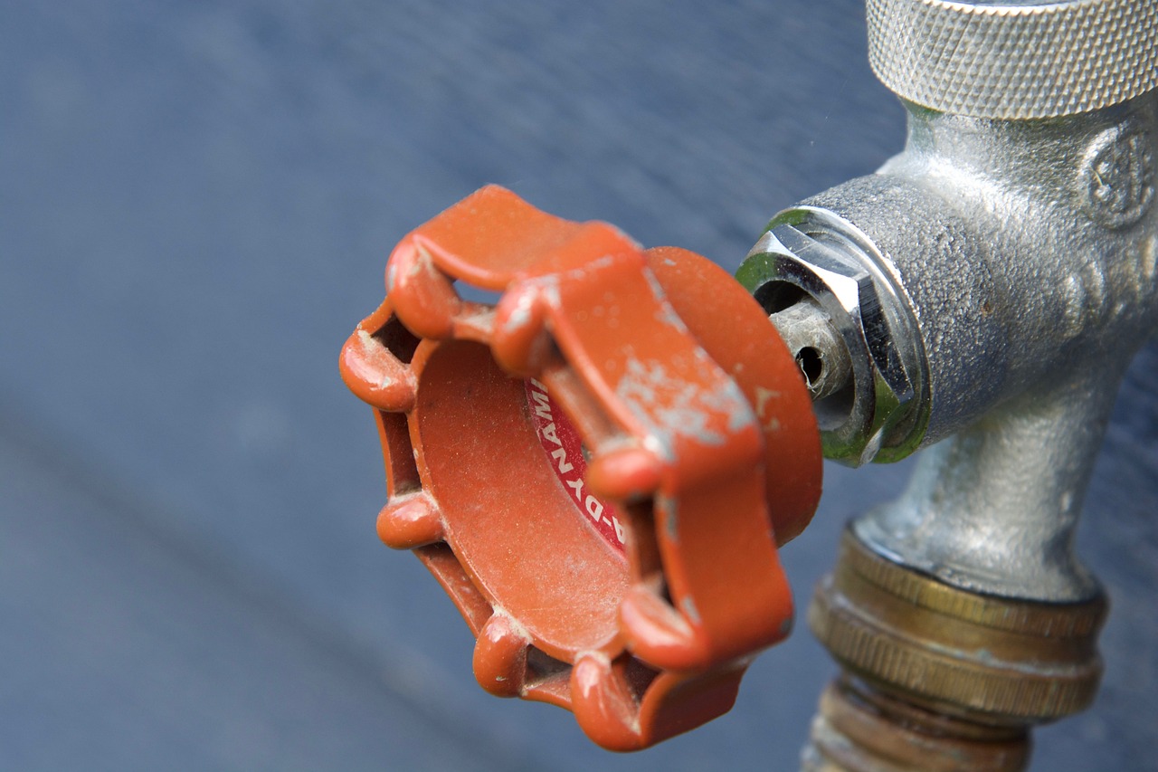 Plumbing System Inspection  Services